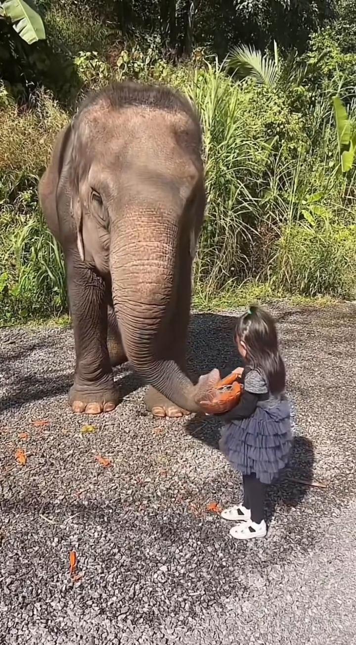 多吃一口长肉
少吃一口又不瘦
我真闹心了
还是不管胖不胖了，吃吧