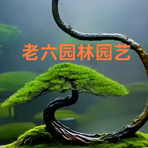 老六园林设计