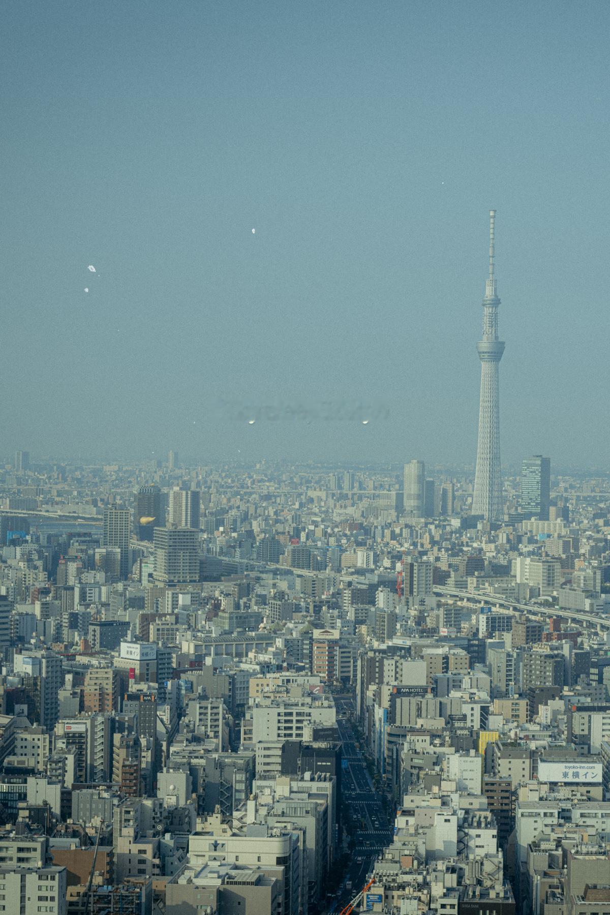 天空树，东京数码相机：Leica M11镜头：Leica APO-Summicr