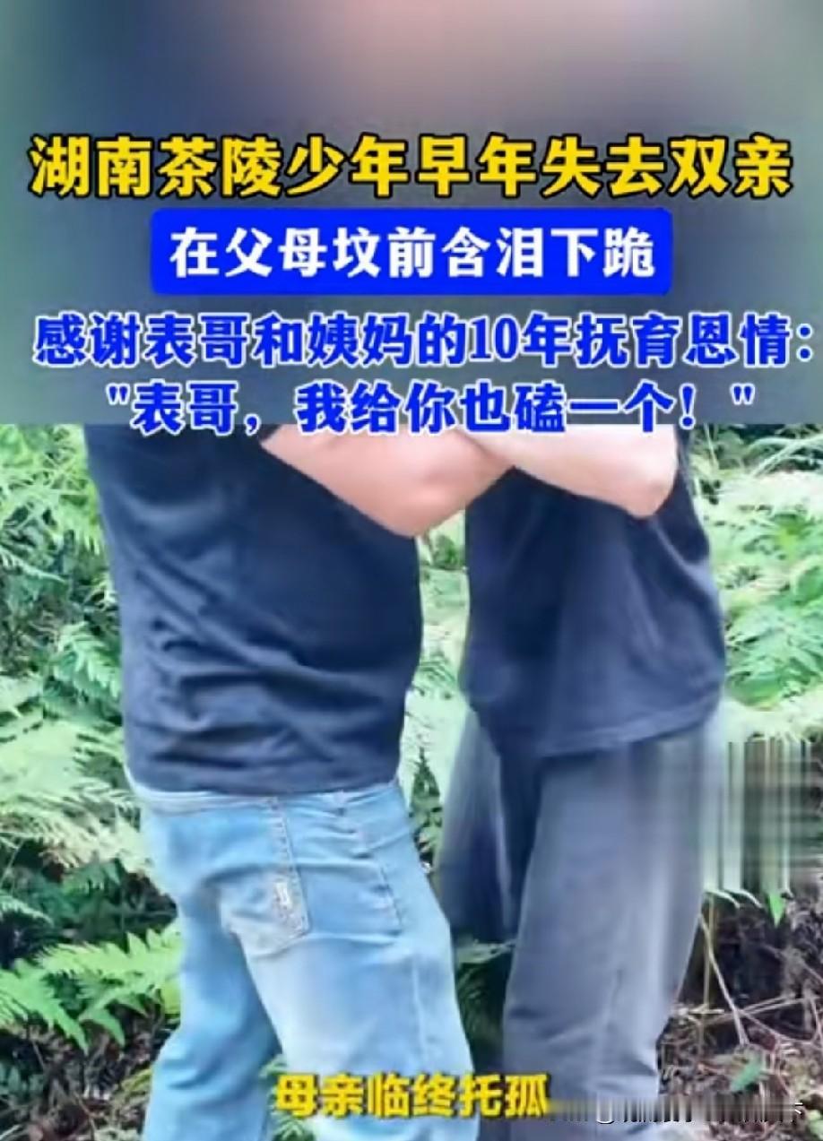 十年前尹世民接下小姨托孤的重任，抚养两个表弟至今已十年；期间婚姻结束，前妻带走小