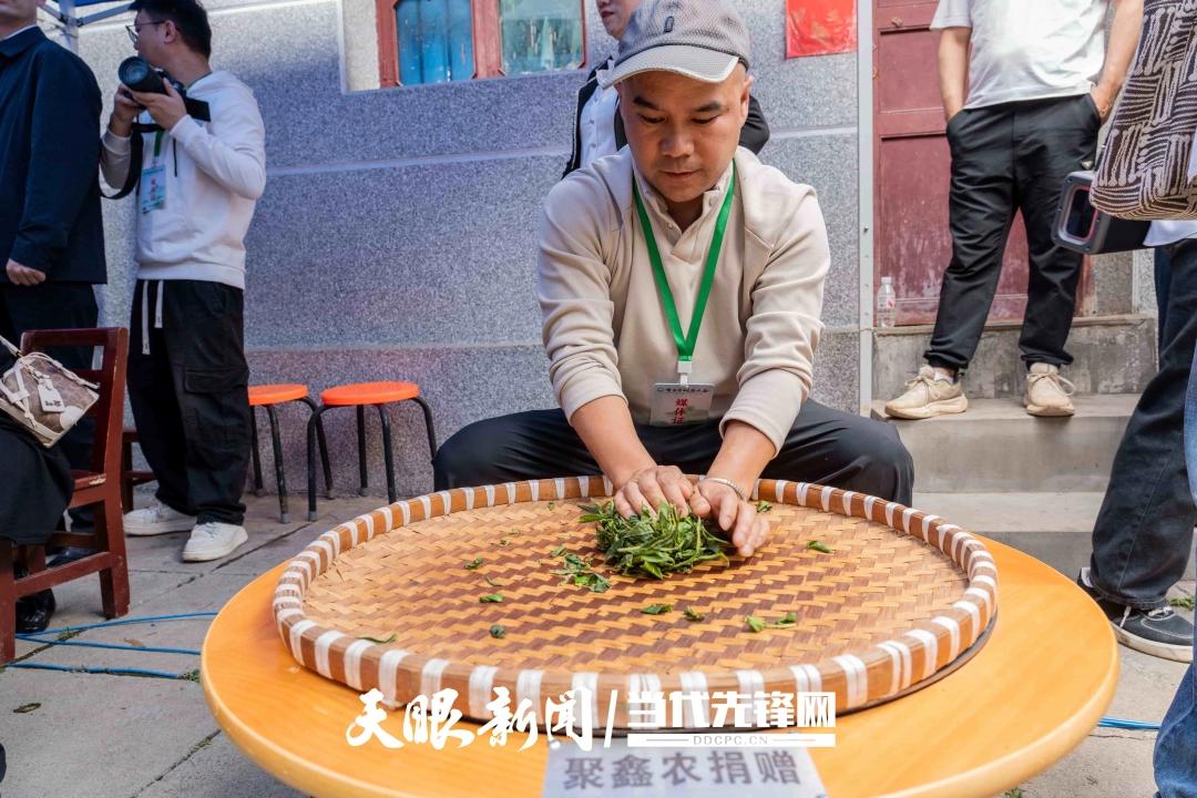 贵州古树茶：从“深山遗珍”到“产业新坐标”
