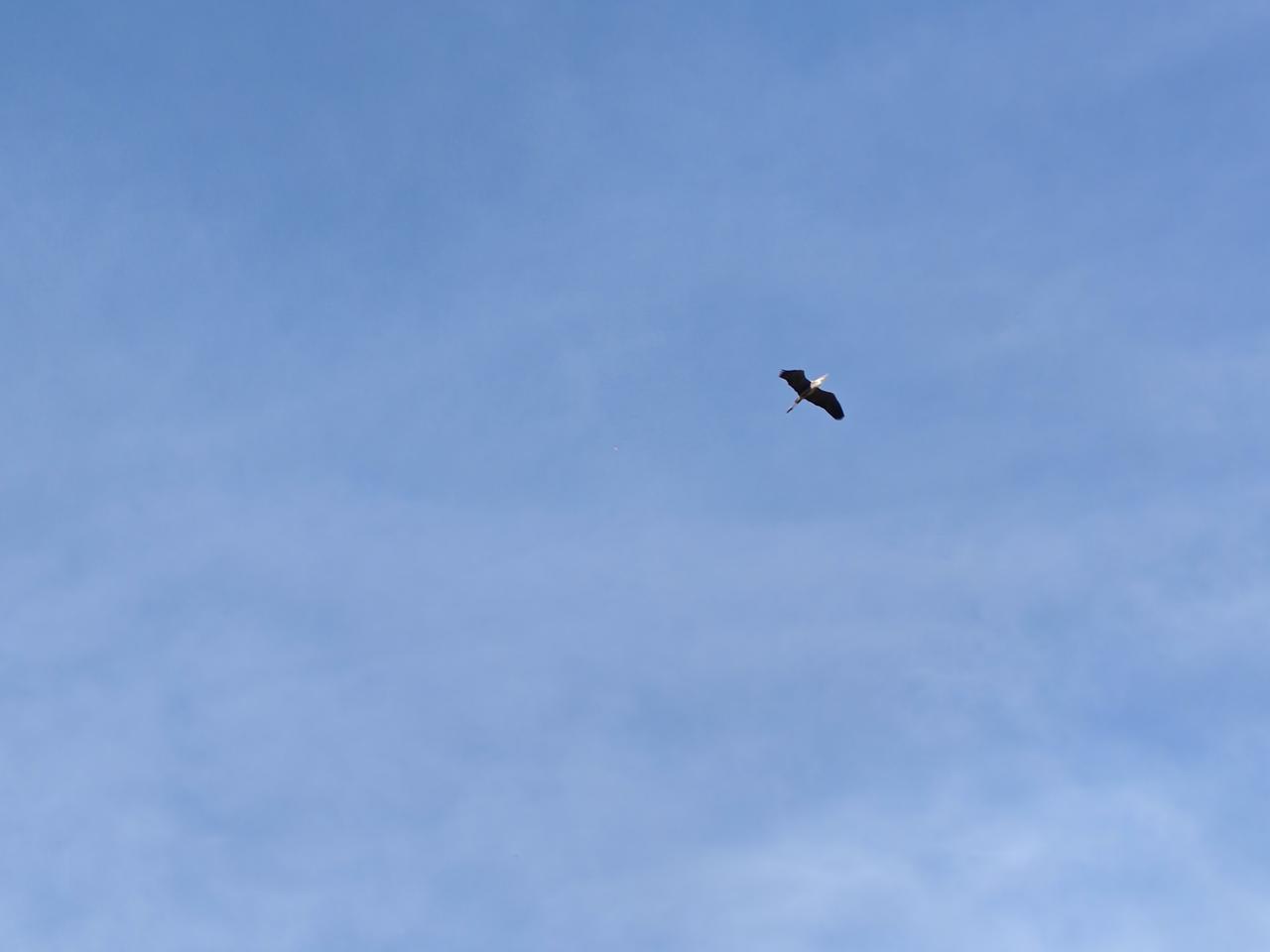 飞得更高、更稳、更快。