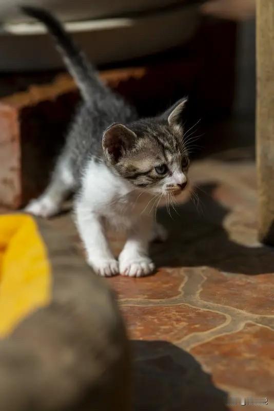 能挣大钱的人，
一：头脑灵活，善于思考。遇到问题不会钻牛角尖，总能跳出固有思维找