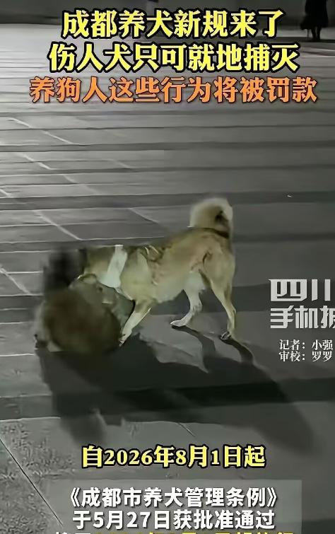 真以为养狗是私有财产自由？成都这记重锤，每个养狗人都该听听
5月27日，成都扔出