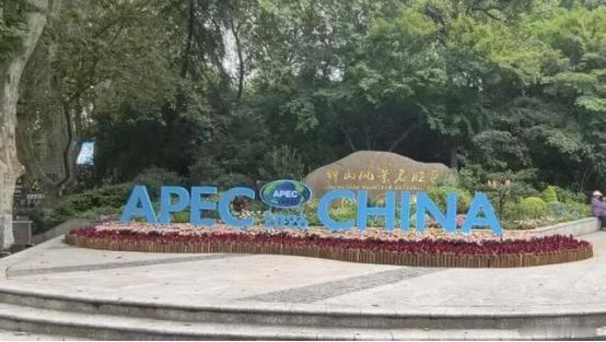 洪申翰胸前那块胸牌刚挂进南京APEC会场，照片就被台湾网友转疯了。同一档子事，名