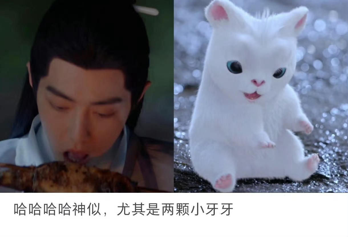 可爱[哈哈] ​​​