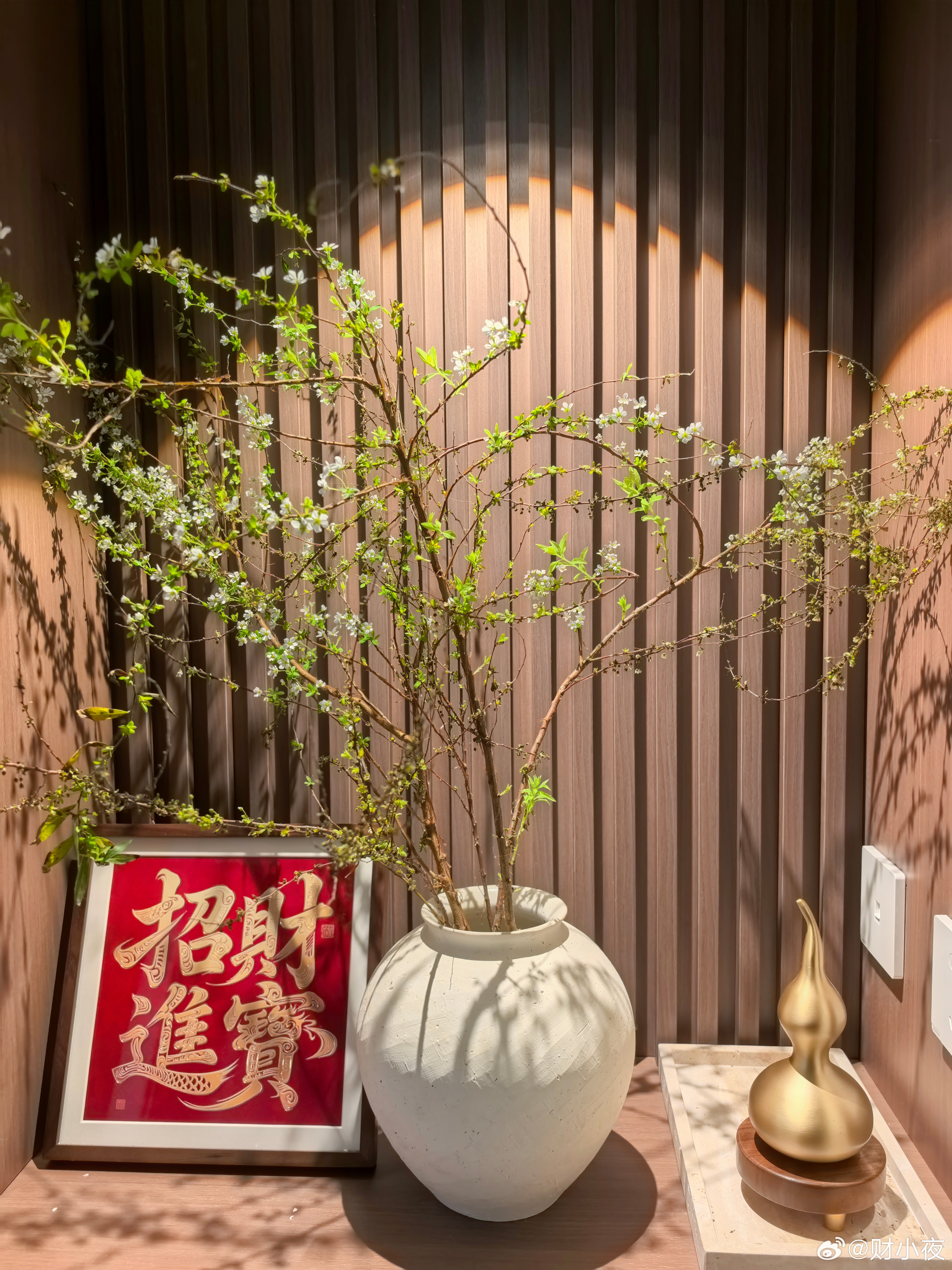 曝雷军押注的中年人泡泡玛特将上市刚看到这条热搜，说雷军押注的“中年人泡泡玛特”要