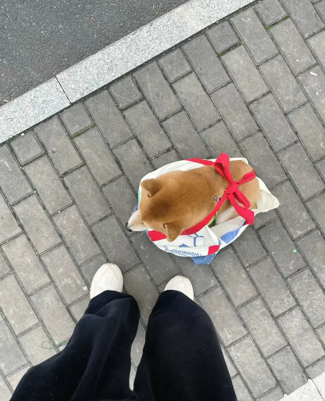 假期结束了打包好行李回去上班了