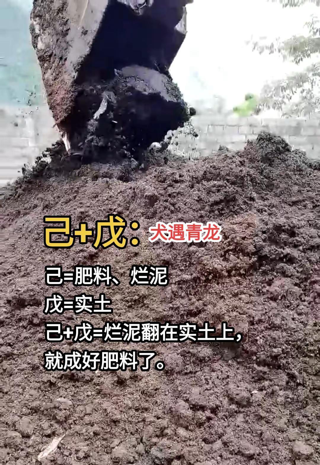 国学溯源  己+戊 这么理解。