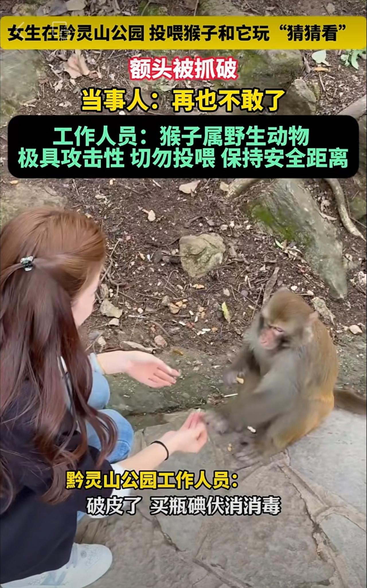 9月16日（发布）贵州 贵阳，女生在黔灵山公园 投喂猴子和它玩“猜猜看” ，女生