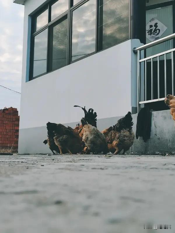 房主冬至回乡祭祖

发现价值500万的

闲置别墅

被邻居撬锁闯入

对方竟把