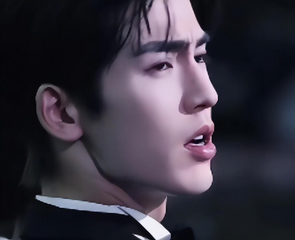 张凌赫，大胆向前走！不就说了句大实话么，东南亚这些跳梁小丑破防关我屁事啊。
 