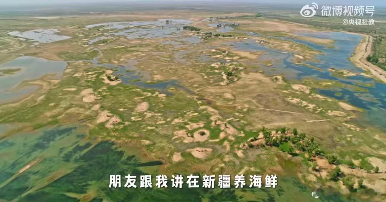 新疆海鲜养成记奇迹中国作为吃货真的狠狠心动了，没想到不用奔赴海边，在新疆沙漠就能