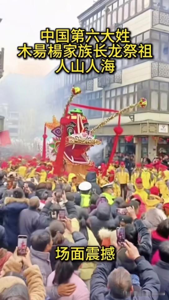杨门盛典：长龙祭祖，万裔归宗
    木易为楊，薪火永续。作为华夏第六大姓，杨氏