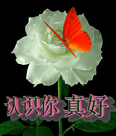 💕《情在墨里、爱在心里》💕

生命中有一种爱，
是安静的，是无求的。
知己的