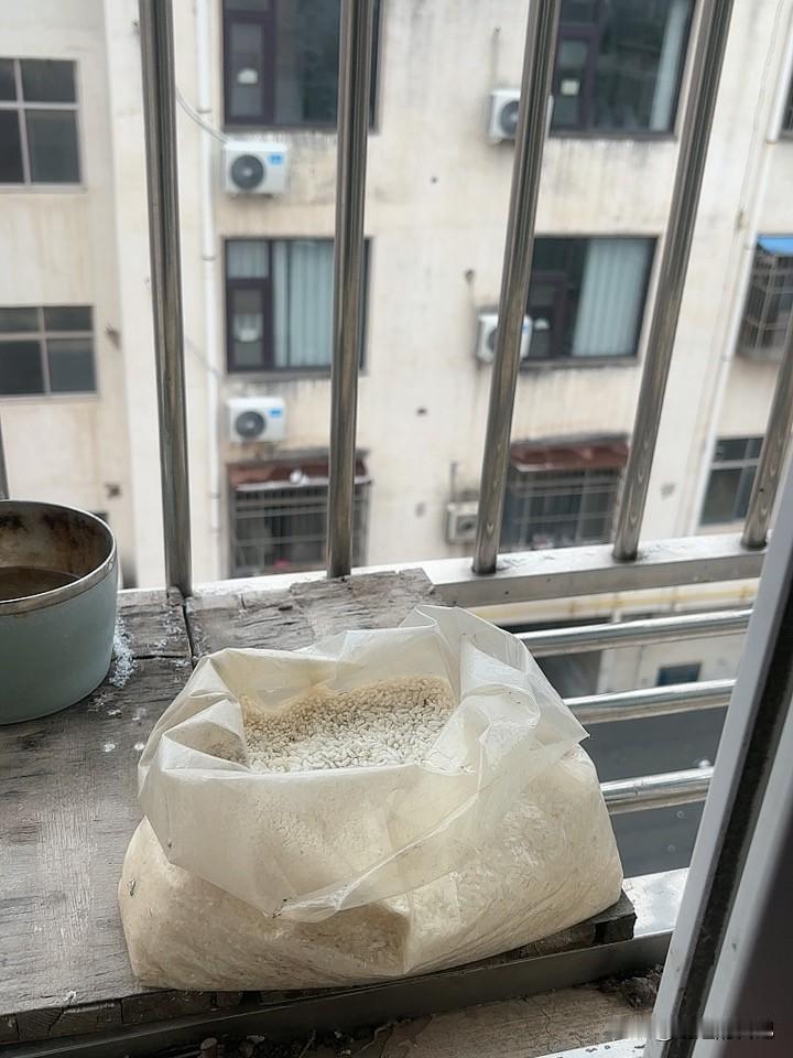 下雪了，瑞雪兆丰年，是个好兆头，起码农民会很开心，
今天是除夕，祝福所有的朋友，