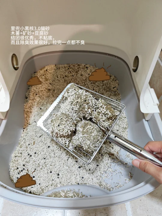 不花冤枉钱丨养猫好物分享