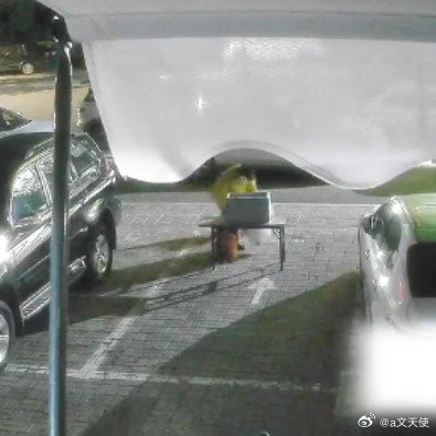 女子凌晨倒掉24瓶爱心水被拍下监控拍下令人心寒的一幕：凌晨3点，一名女子将爱心水
