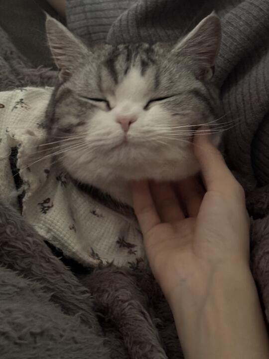 今天我妈给我按摩