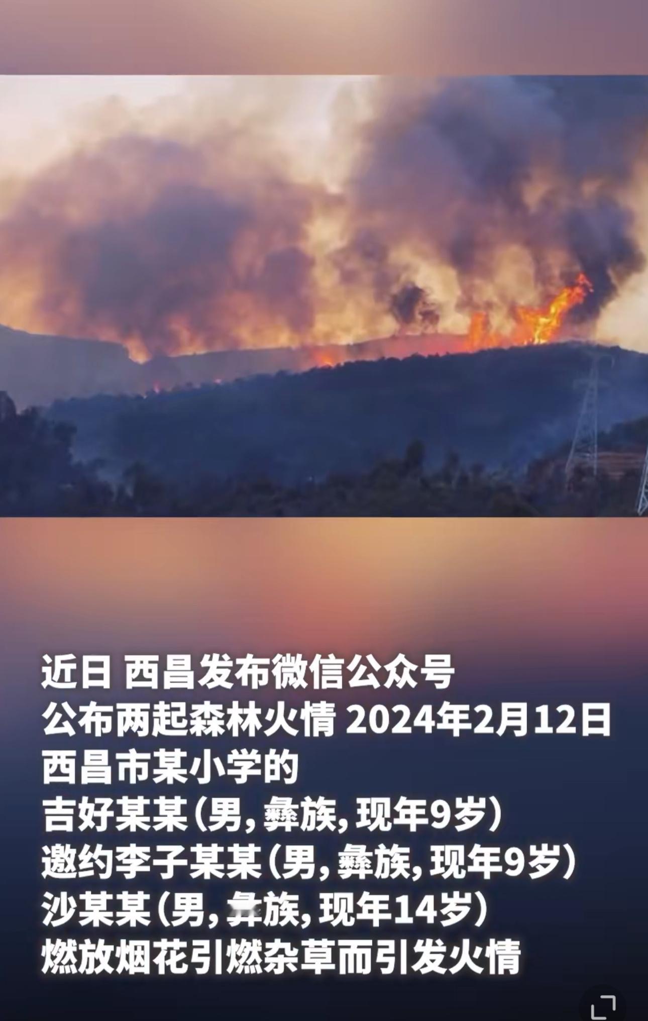 平均年龄没有超过10岁 最大的12岁不到 玩打火机点火6次 造成已下局面，就问这