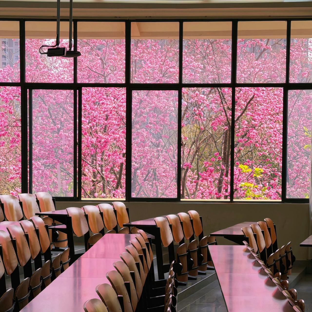 今天是我转换赛道的第二天，写头条一定要垂直！

由于之前都是发的乱七八糟的内容，