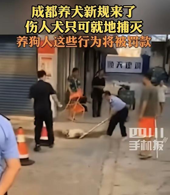 5月27号下午，成都人的朋友圈被一条消息炸了锅——《成都市养犬管理条例》批了，8