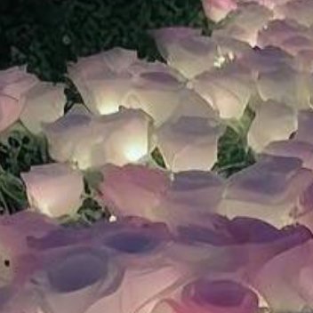 正能量人生是一种无法抗拒的前进。生活是不能等别人来安排的，它要自已去争取和奋斗。