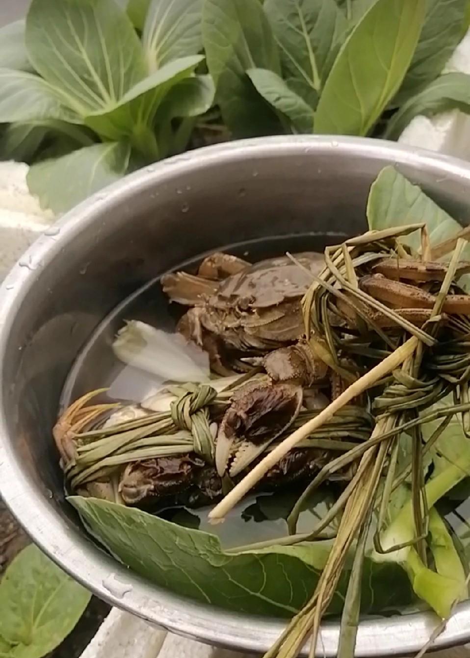 大闸蟹不动？
别急着扔。
它可能只是累了，不是死了。
现在一只蟹，自带身份证，扫