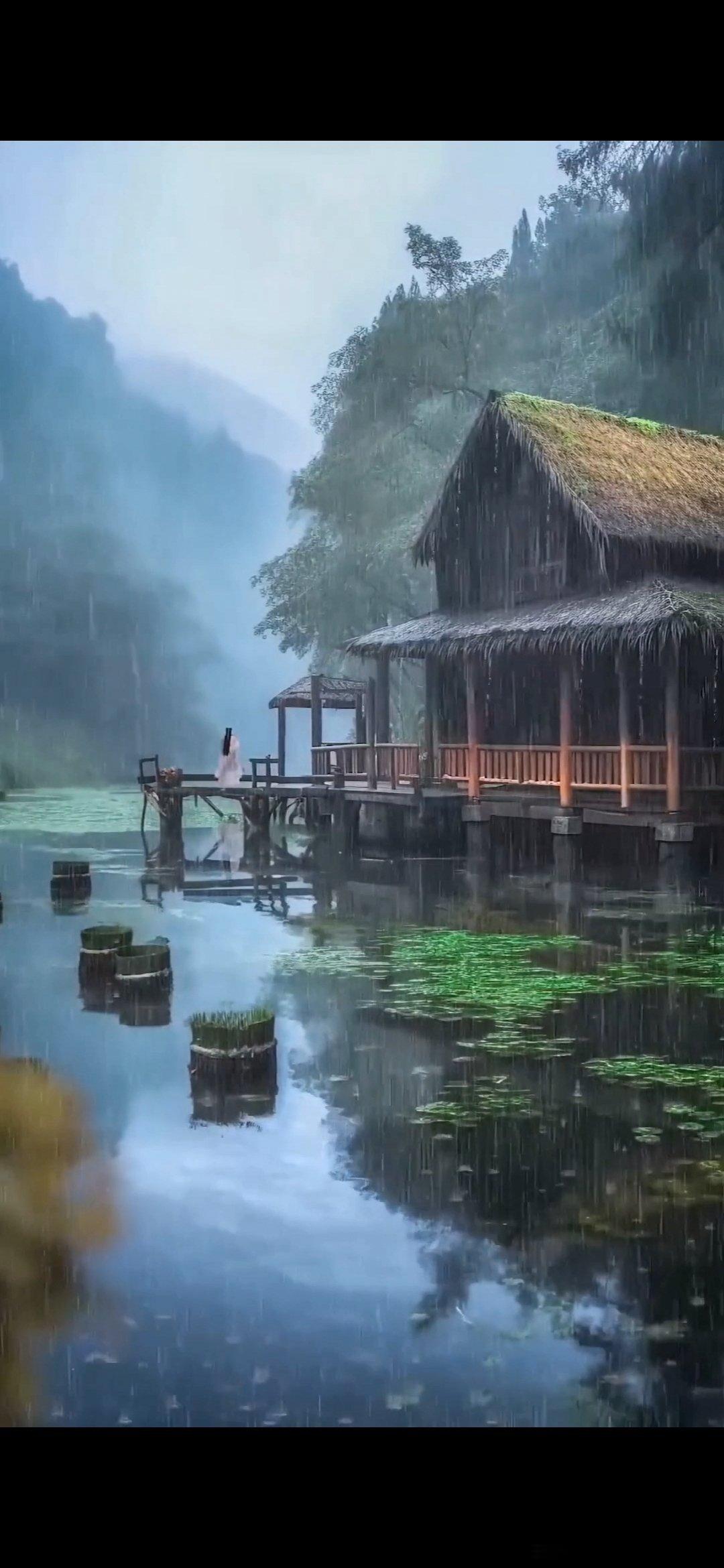 #情爱日记[超话]#                     《无题》冷月寒塘一