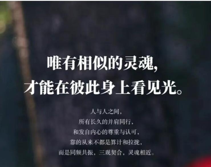 灵魂认出了彼此