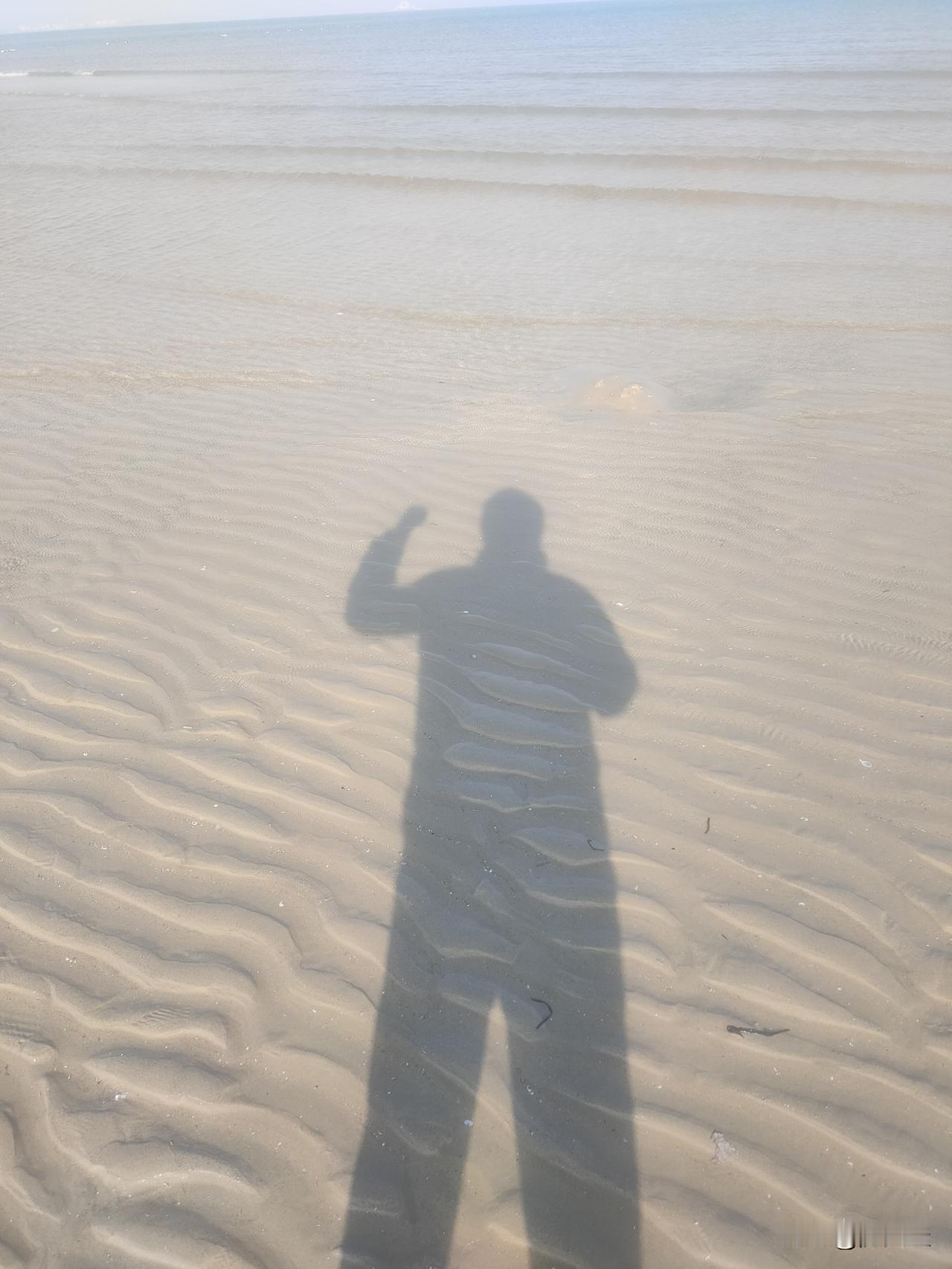 手机普及成人手一部，电视会被淘汰吗？
过年全家人一起看春节晚会，这种感觉手机替代