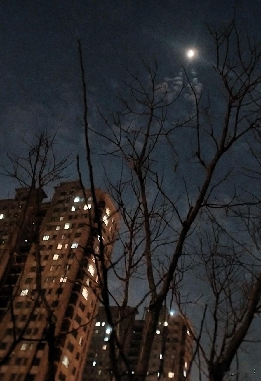 昨天晚上，吃过饭去走走，一抬头就被眼前的画面吸引住了。

夜空是那种沉下来的墨蓝