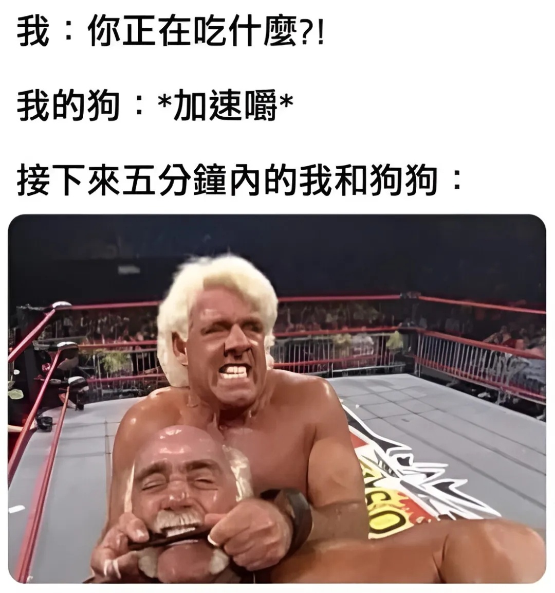 🐶：别抢了meme ​​​