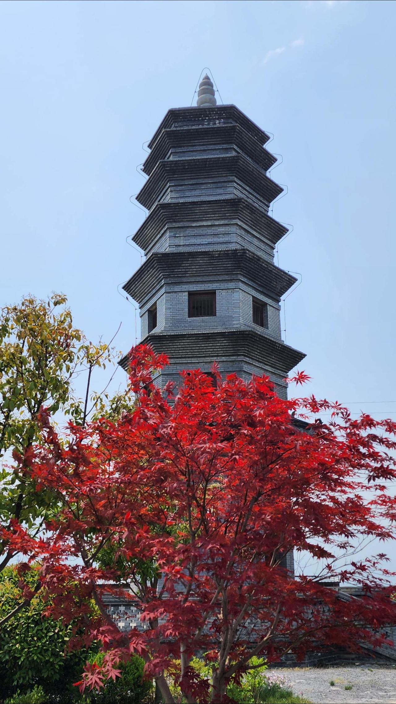 白鹿原的夏天（景贤摄影）