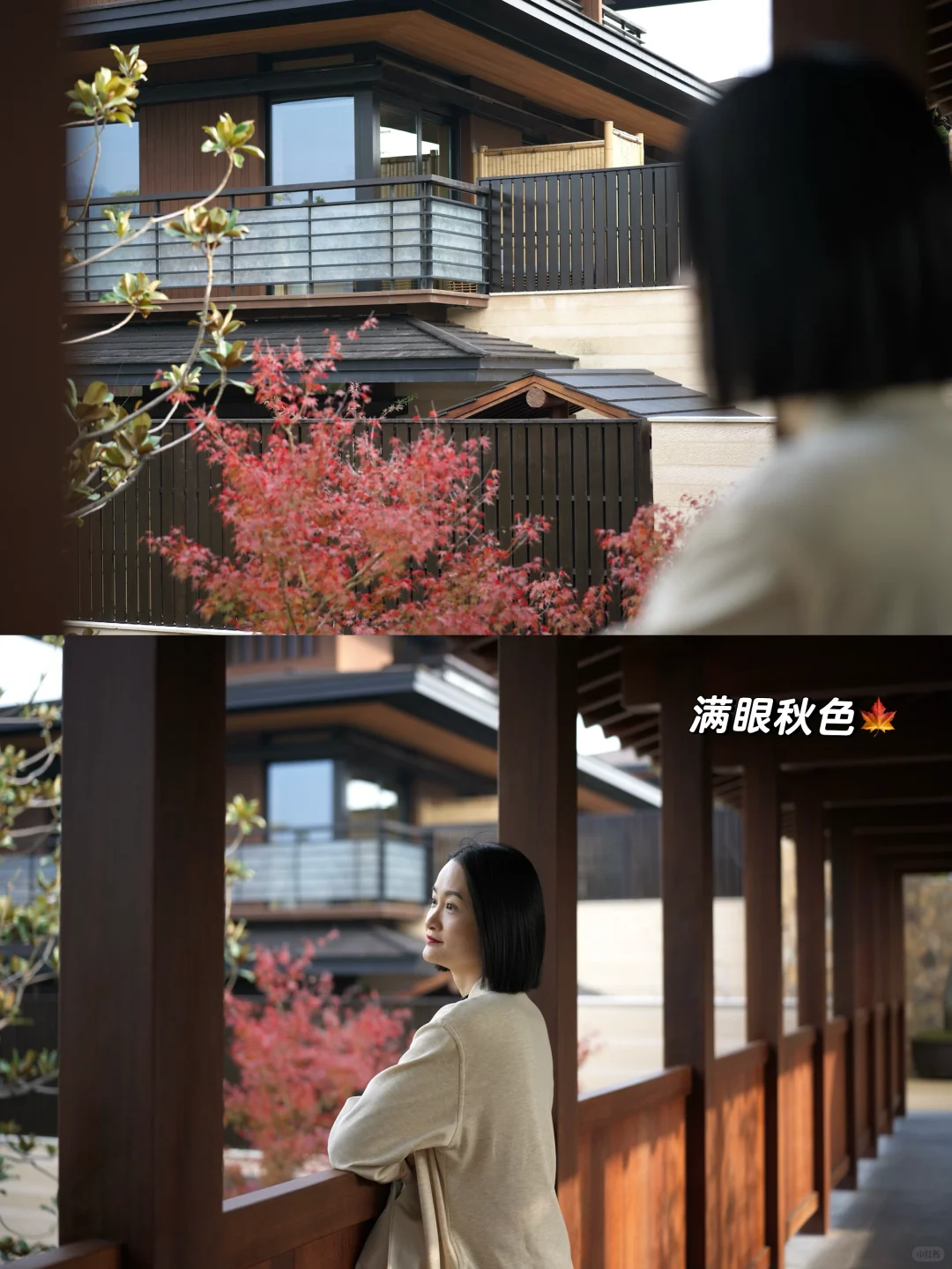 不用去京都！富阳泡汤赏红叶 🍁♨️