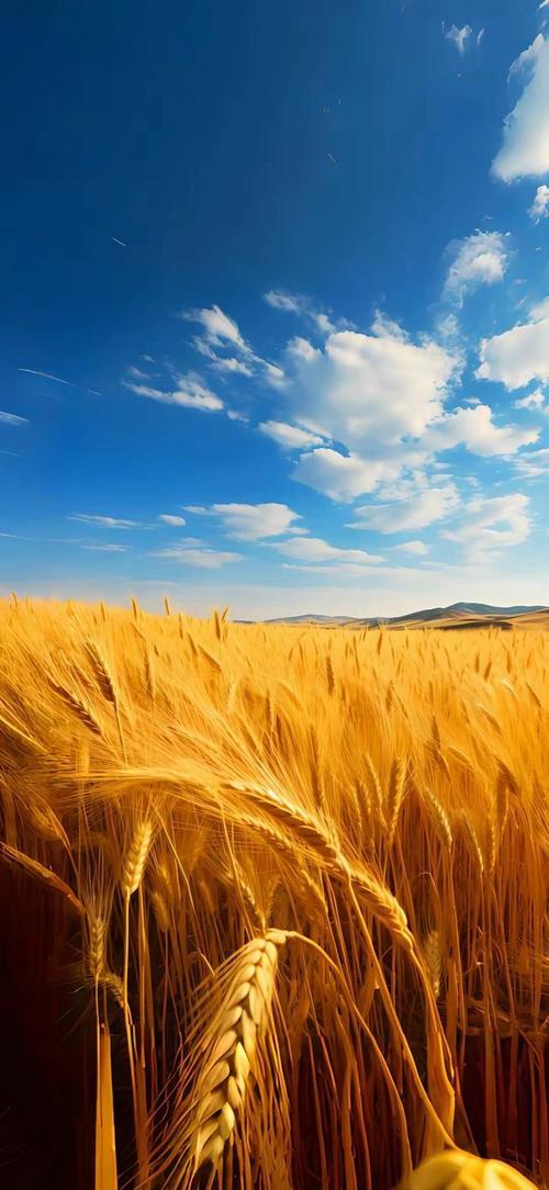 上联：梨花落尽又清明
下联：小麦成熟正芒种