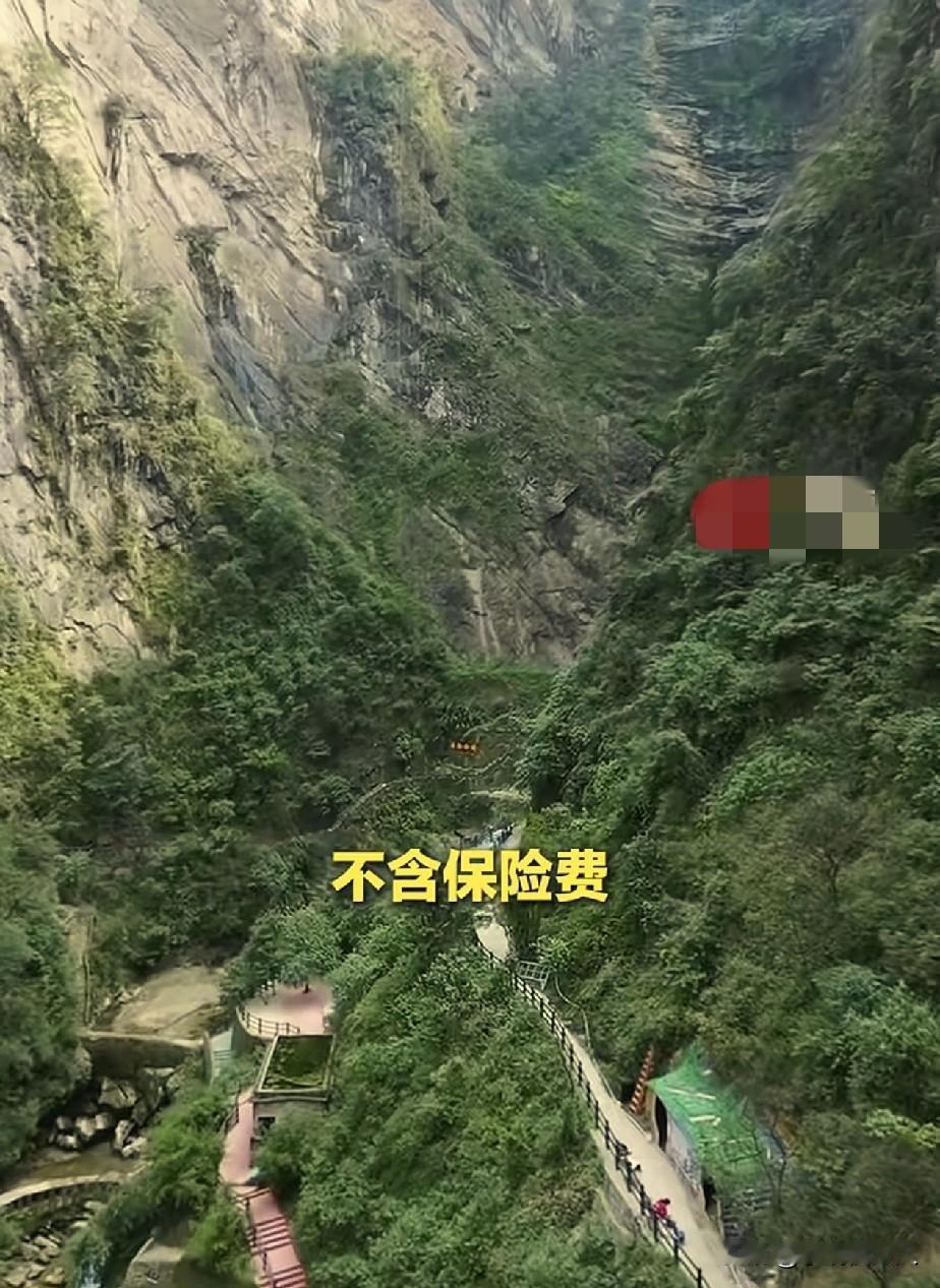 秋千坠亡事件仅3天，家属已经和解！

女孩在被推出平台前，至少喊了3次“没绑紧”