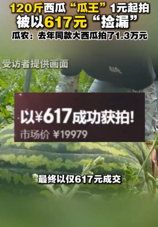 6月10日报道，北京，瓜农种出120多斤的西瓜，拿出去拍卖，本以为能卖1万多，没