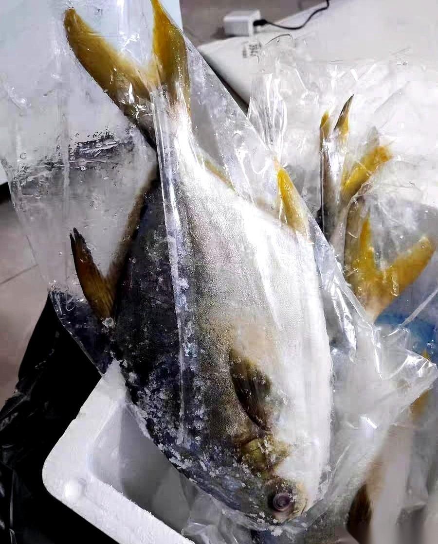 亲戚送的中秋礼盒，鱼是臭的。
我眼睁睁看着我婆婆，拿起电话就拨了过去。
我当时心