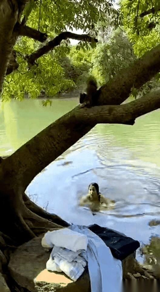 河里一个美女刚游完泳，水珠顺着肩膀往下淌，人正往岸边走。
岸上那棵大树底下，她出