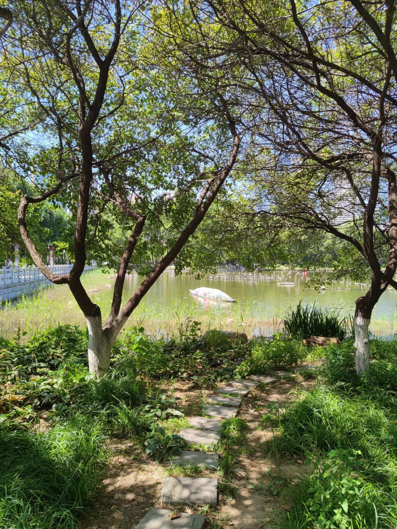 夏天的景色丰富多彩，给人们生活带来更多乐趣，随手一拍都是风景。