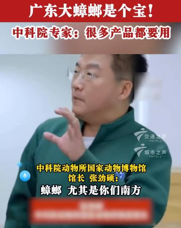 【万万没想到！你脸上敷的嘴里吃的或含广东大蟑螂】广东大蟑螂的渗透力还是被低估了 