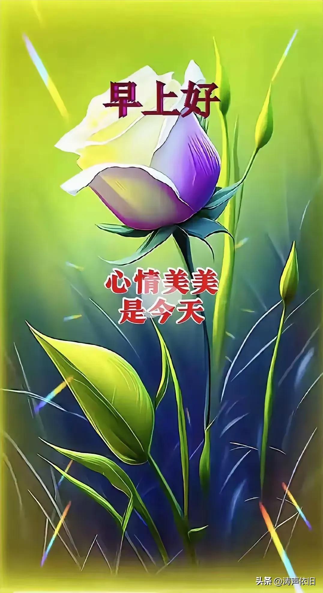 《念奴娇·暑夜》
暑气沉宵，
渐尘喧消尽，
庭阶幽寂。
巷陌人稀行迹杳，
几处灯