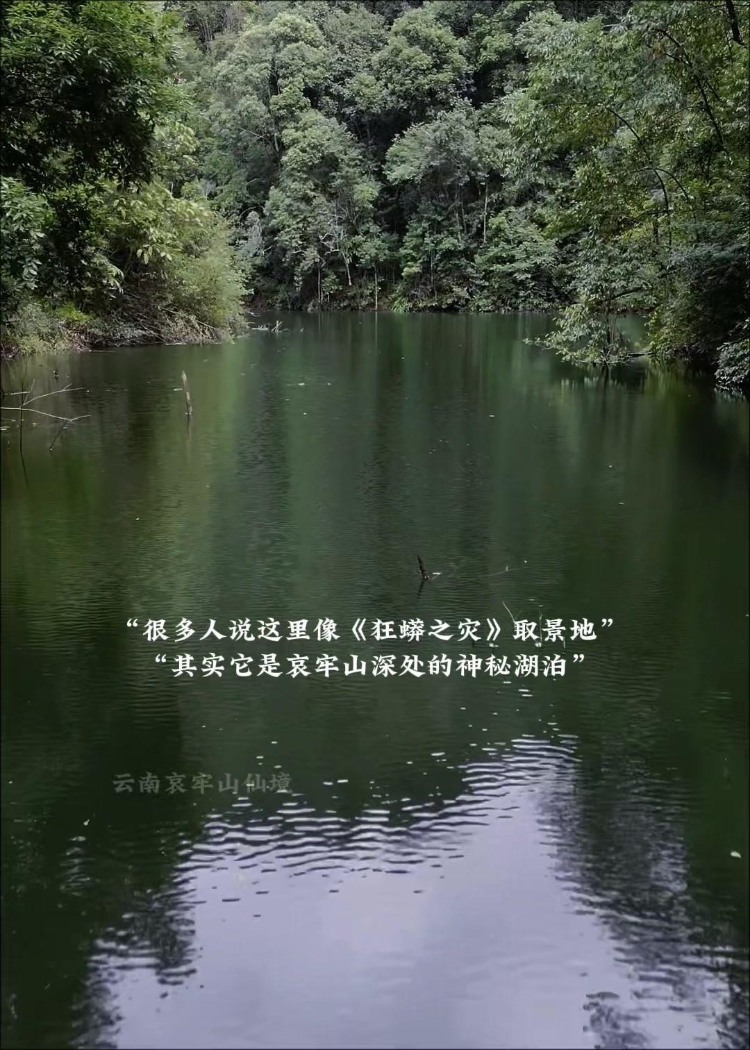 东南亚雨林秘境？像极了《狂蟒之灾》取景地🍃

谁懂啊！东南亚的雨林居然藏着这么