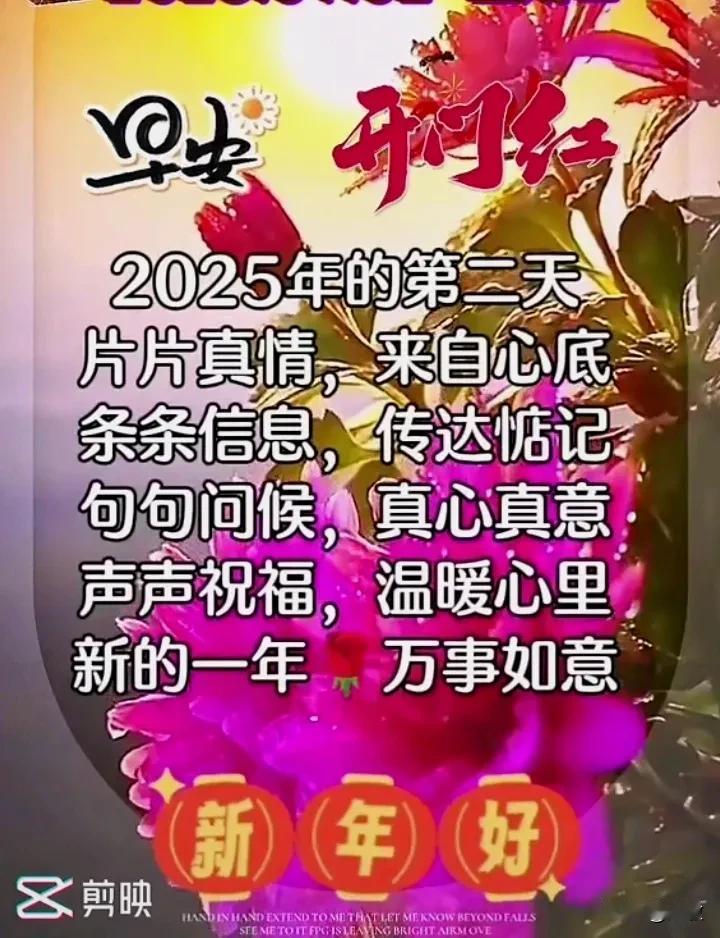 今天是2025年的第二天，早安你好！
生活最美的不只是风景，还有快乐的心情。令人