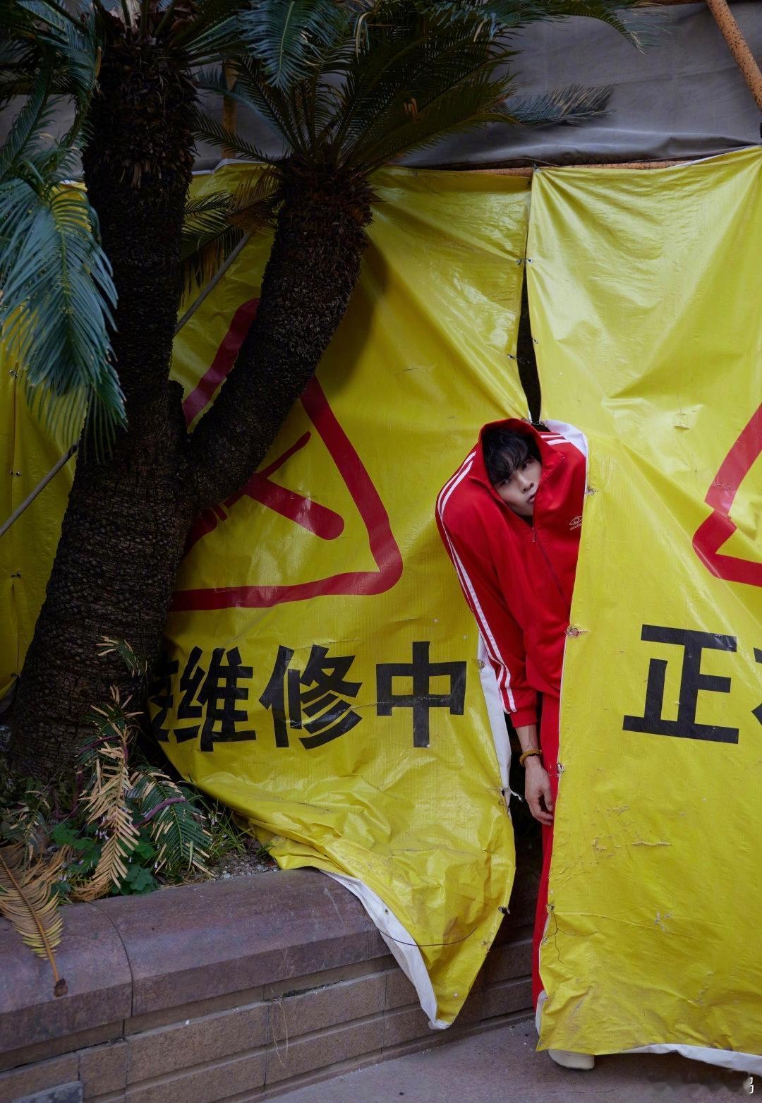 向佐是一位天生的艺术家吧？太前卫了。 ​​​