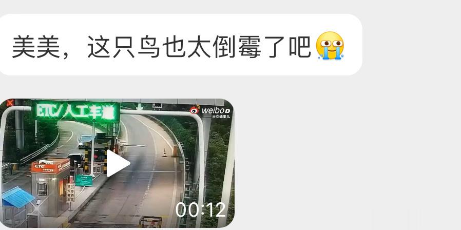 ？？？ 未曾设想过的离开方式… ​​​