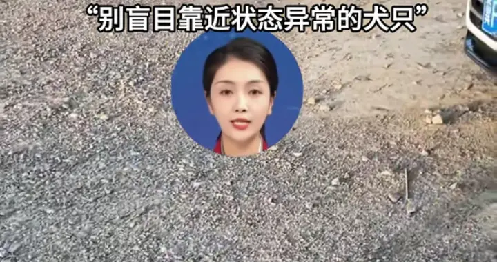 天津一女子被流浪狗咬伤后，几分钟狗死亡，当事人：已第一时间打了疫苗和血清蛋白，当时已发现小狗不对劲，