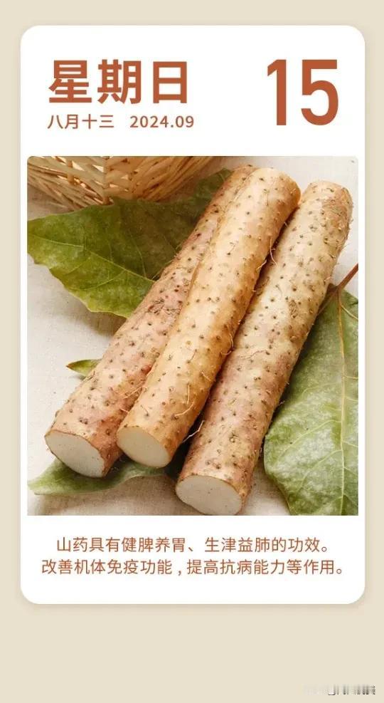 新的一天，你只管善良，幸福自然会在来的路上，善良就像是一盏明灯，你不知道它在什么