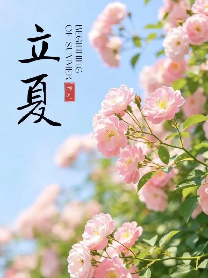 《立夏》原创
斗指东南夏始临，
风柔日暖柳丝侵。
古来节序循天道，
自此繁枝绿渐